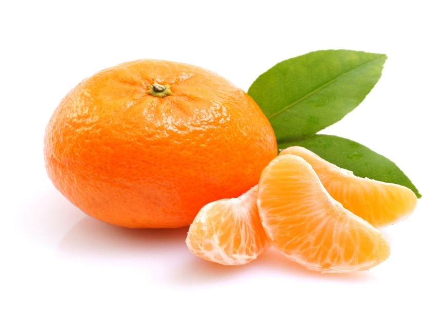Premium Pakistani Kinnow Citrus Fruit - Available December to March
